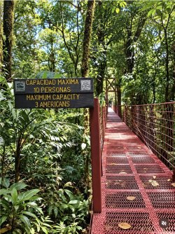 IMG_6192.jpeg