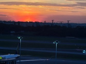 IMG_8377.JPEG