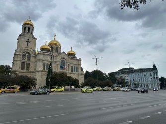 IMG_8728.jpeg IMG_8728.jpeg