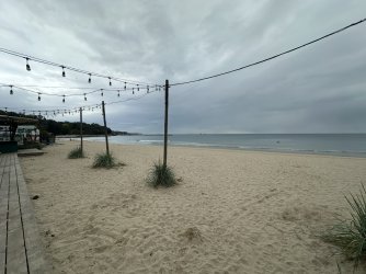 IMG_8730.jpeg IMG_8730.jpeg