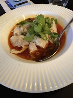 IMG_7037.jpeg