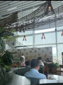 IMG_2763.jpeg