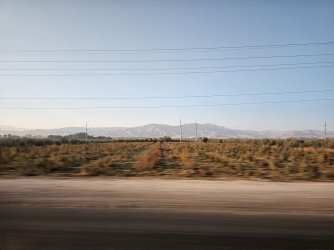 1000053801.jpg