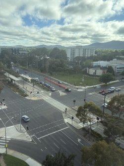 IMG_2766.jpeg