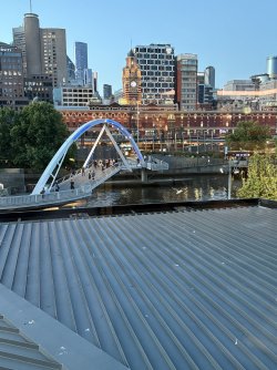 IMG_2935.jpeg