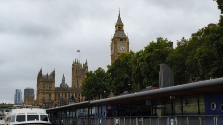 59.jpg
