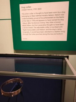 27.jpg 27.jpg