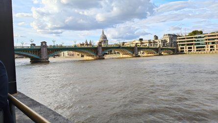 79.jpg