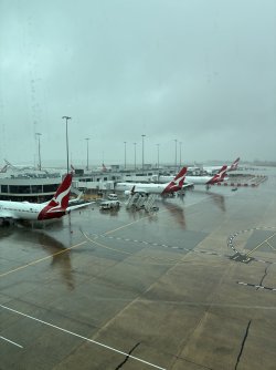 IMG_2946.jpeg