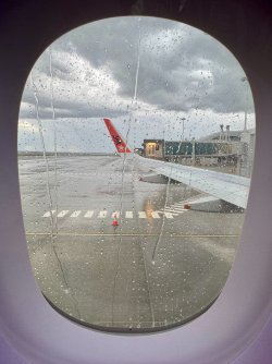 IMG_4330.jpeg