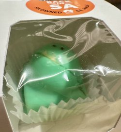 IMG_7525.jpeg IMG_7525.jpeg