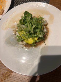 IMG_1566.jpeg IMG_1566.jpeg