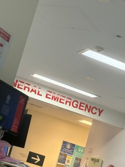 IMG_8399.JPEG