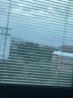 IMG_8400.JPEG