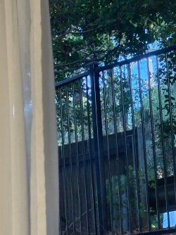IMG_8409.JPEG