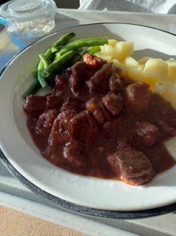 IMG_8406.JPEG