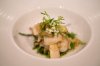 DSC03510.jpg