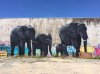 Elephants.jpg