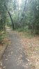 20160204_133440_resized.jpg