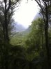 Fox Glacier. Maybe..jpg Fox Glacier. Maybe..jpg