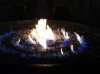 dsc00120.jpg