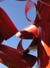 dsc00285.jpg