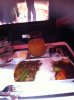 IMG_0697.JPG