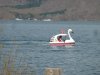 P1180933 - Copy.jpg