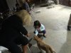 Resize of IMG_5981.JPG