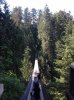 capilano.jpg