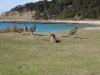 DSC03647.jpg