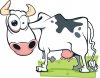 mad-cow.jpg