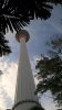 WP_20160906_18_28_20_Pro.jpg