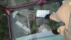 WP_20160906_19_06_53_Pro.jpg