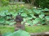 gardens3.jpg