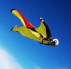lens1991764_1227130220wingsuit-intro.jpg