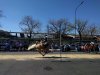 IMG_20160911_141501.jpg