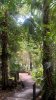WP_20160919_11_06_00_Pro.jpg
