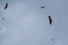 20161022- Singapore-139.jpg