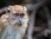 20161022- Singapore-343.jpg