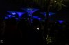 20161029- Singapore-182.jpg