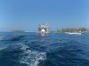 DSC00881.jpg