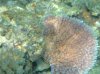 DSC00866.jpg