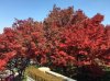 IMG_8776.jpg