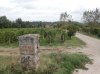 PA140734.jpg