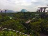 SuperTree Grove and domes.jpg SuperTree Grove and domes.jpg