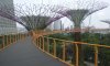 SuperTree Grove HighWalk.jpg SuperTree Grove HighWalk.jpg