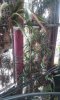 SuperTree inside.jpg SuperTree inside.jpg