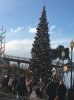 2016-12-23 15.35.16 (480x640).jpg
