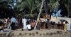 goa10.jpg